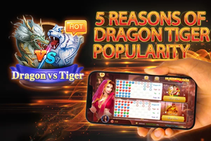 The Best Bonus for Dragon Tiger Batery Bet